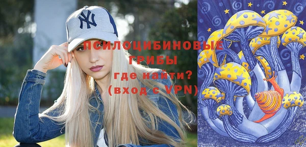 прущий лед Заводоуковск