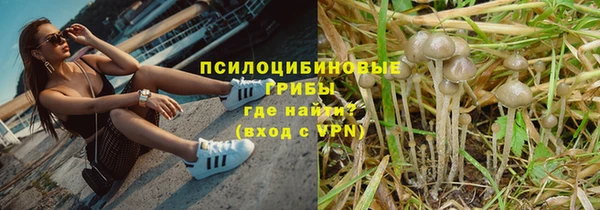 прущий лед Заводоуковск