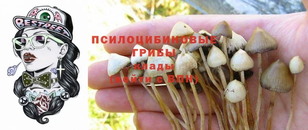 дурь Заволжье
